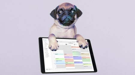 Choosing your dog grooming software